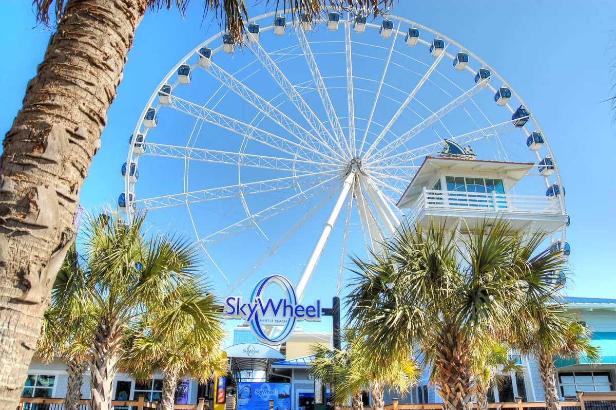 This dynamic exterior shot features the famous SkyWheel towering above palm trees, with the SkyWheel building at its base. The bright blue sky and people walking nearby evoke the excitement and delight of visiting a top local attraction.